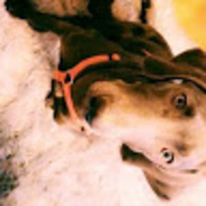 Meet your Posher, Candice